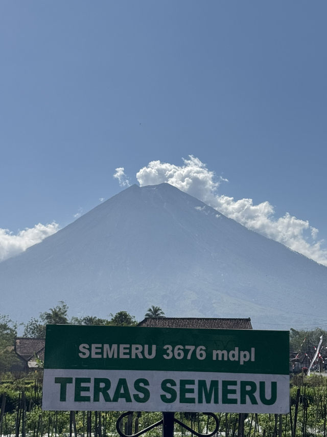 A trip around East Java 