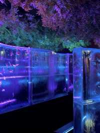 【愛知観光】˗ˏˋ 7年ぶりの名古屋開催❗️幻想の金魚アート🏺ˎˊ˗