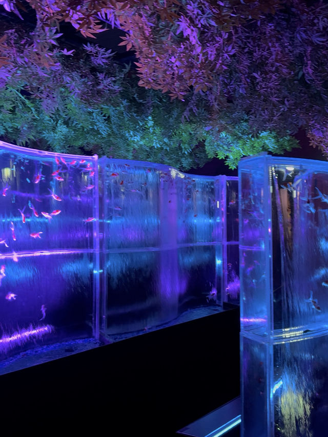 【愛知観光】˗ˏˋ 7年ぶりの名古屋開催❗️幻想の金魚アート🏺ˎˊ˗