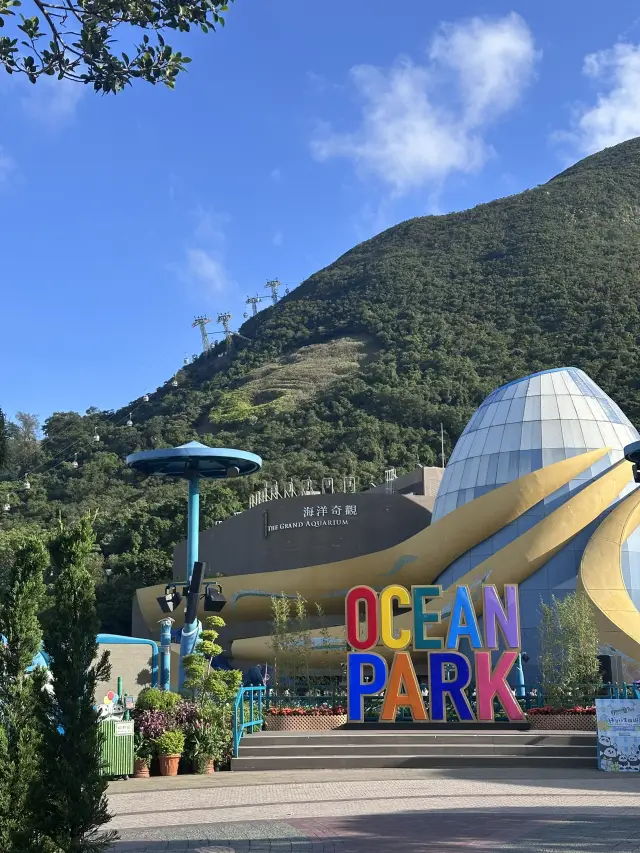 香港海洋公園評測 ✅ | 海陸雙拼的夢幻樂園!🎢🐬