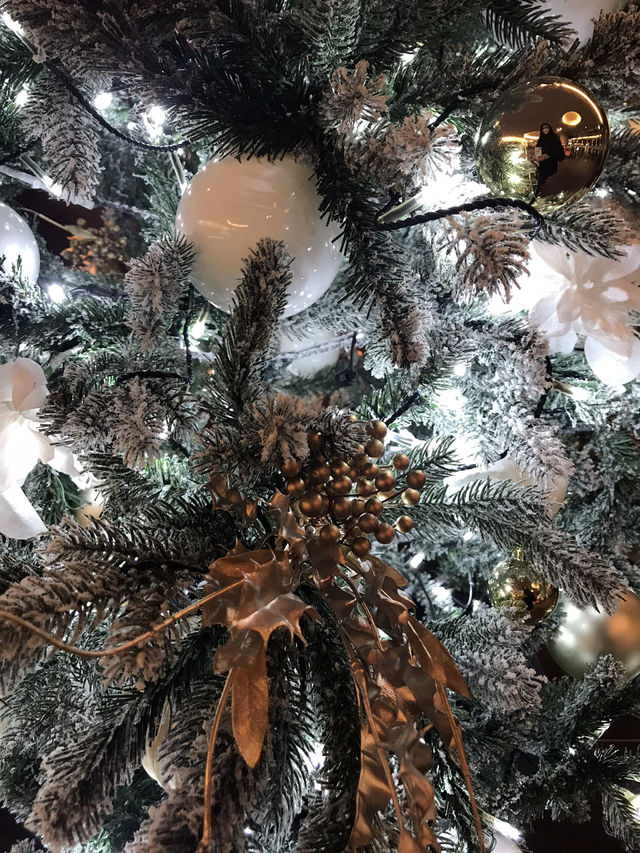 ❄️ 六本木ヒルズ:過去のイルミネーション&クリスマスツリー ❄️ 六本木ヒルズ:過去のイルミネーション&クリスマスツリー