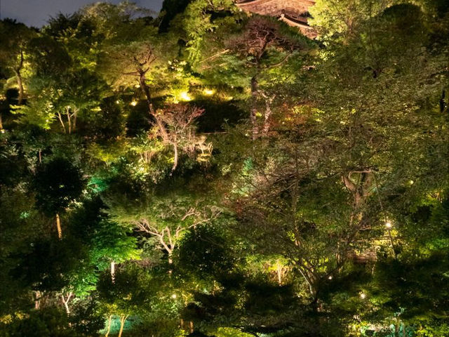 『雲海に包まれる東京のホテル』椿山荘