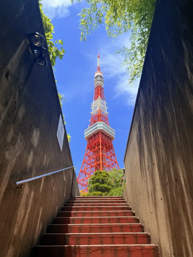 Tokyo｜Hidden Spots for Uninterrupted Tokyo Tower Photos