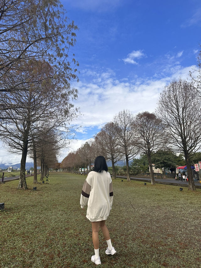 A Day at Yilan (picnic+beach and more!)👩🏻‍🤝‍👩🏼🧺✨