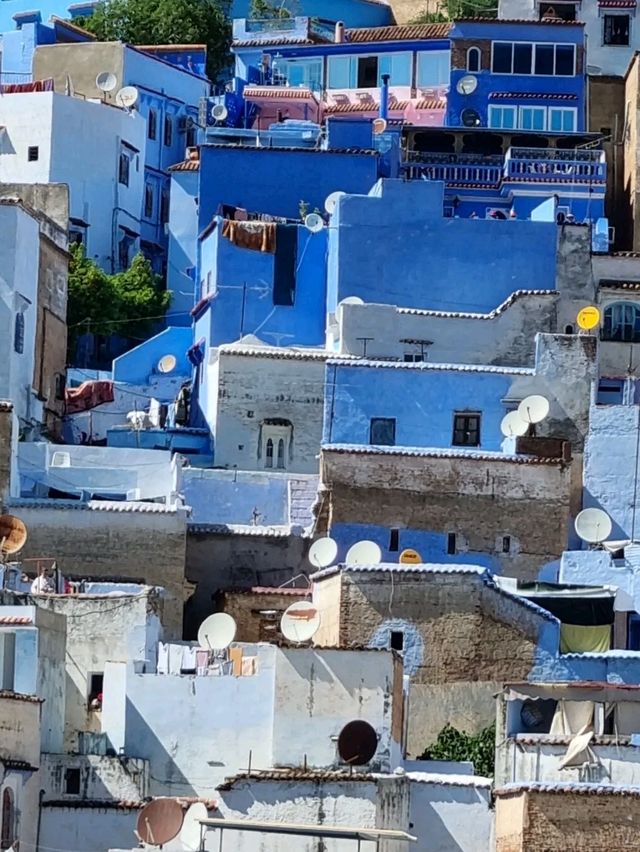Everything in Blue 
