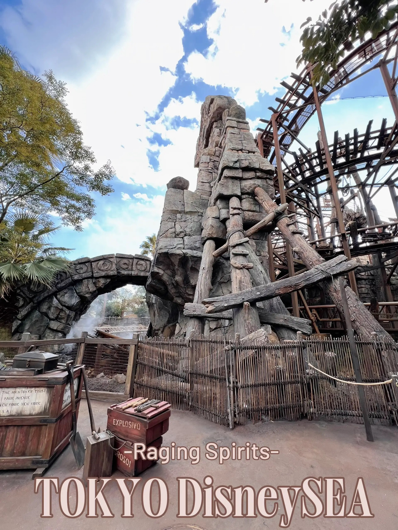 東京ディズニーシー レイジングスピリッツ 記念カード 2019 レイジングスピリッツ東京ディズニーシー [TDS] Raging Spirits