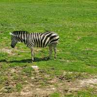 China-Qingyuan 中國-清遠 3 Days 2 Nights (3D2N)