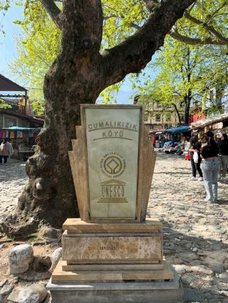 探索庫馬利基茲克科尤的永恆之美