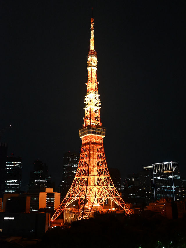 【東京ホテル】東京タワーを独り占め！
