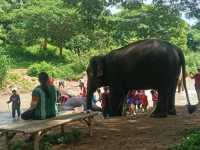 Kerchor elephant eco park