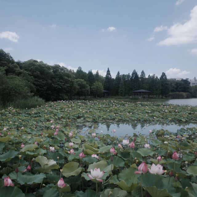 臨海靈湖公園~打卡超靚天氣🌞 臨海靈湖公園~打卡超靚天氣🌞