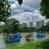 Green Lake Cui Hu kunming