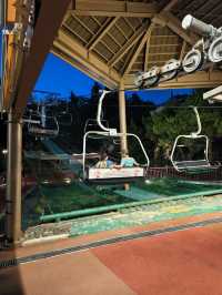 Woodland Thrills🎢