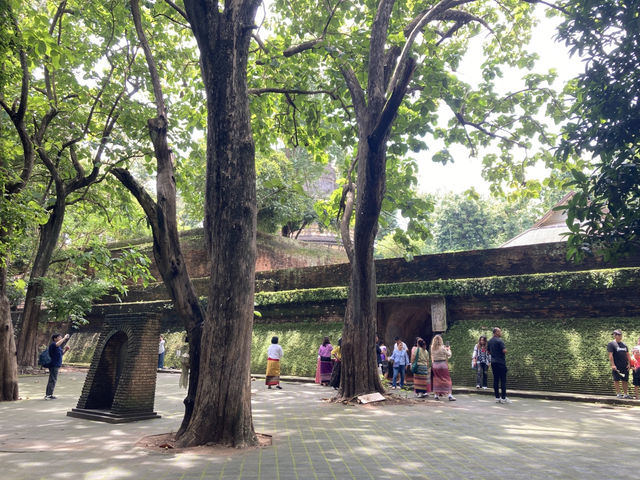 เที่ยว “วัดอุโมงค์” ฟิลฤดูฝน เขียวชื่นใจ  เที่ยว “วัดอุโมงค์” ฟิลฤดูฝน เขียวชื่นใจ