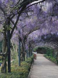 5월에 피렌체를 간다면 필수 코스임