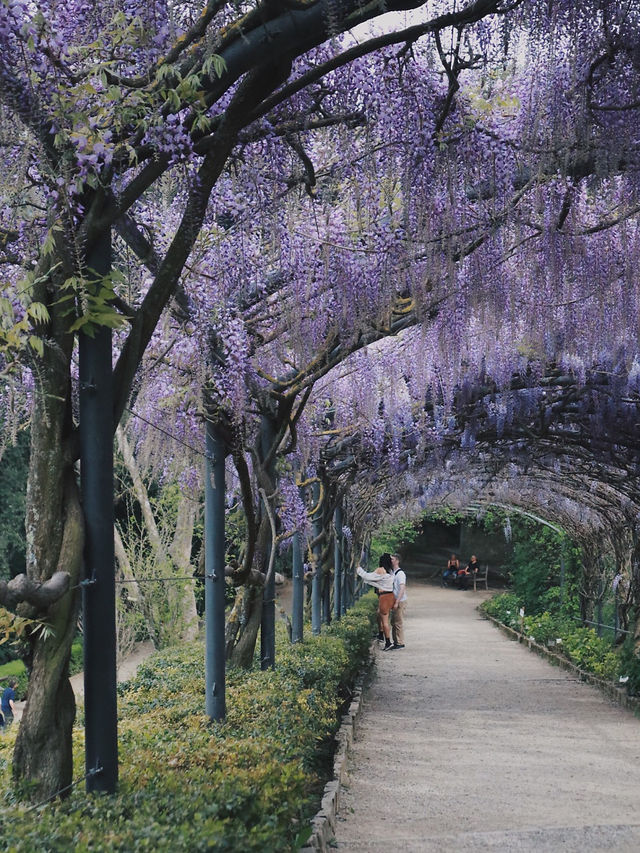 5월에 피렌체를 간다면 필수 코스임 5월에 피렌체를 간다면 필수 코스임