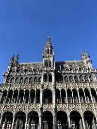 🇧🇪 比利時:布魯塞爾大廣場(Grand-Place) ✨