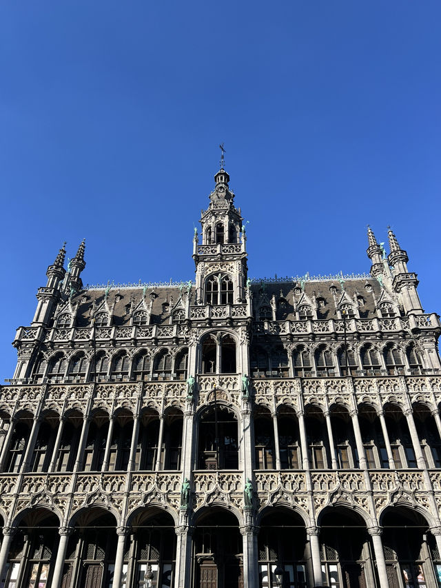 🇧🇪 比利時:布魯塞爾大廣場(Grand-Place) ✨ 🇧🇪 比利時:布魯塞爾大廣場(Grand-Place) ✨