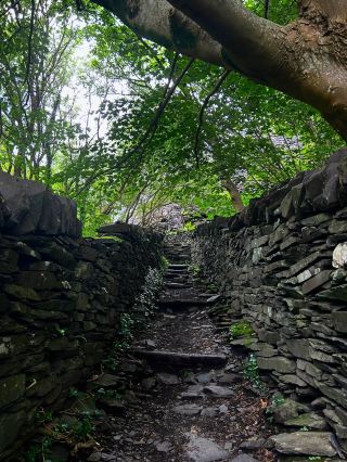 Revolving Around the Beauty of Nature: Eyes – United Kingdom 
