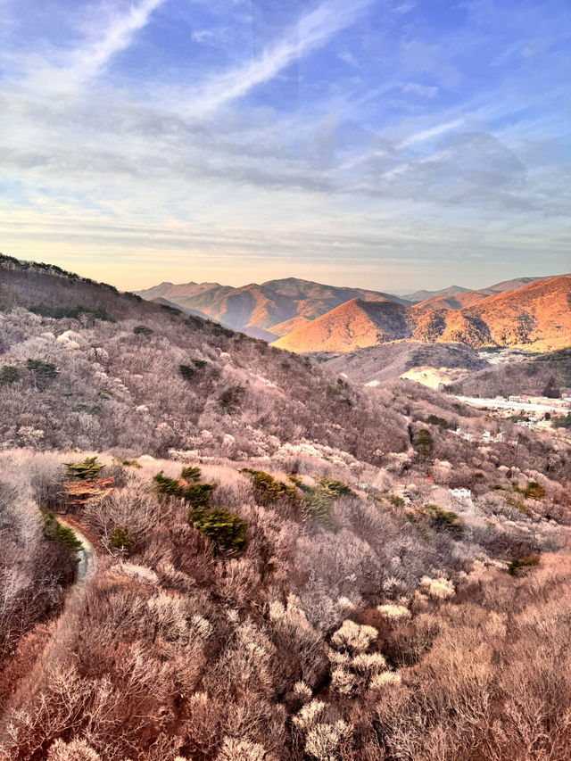 令人驚喜的巨濟島一日遊