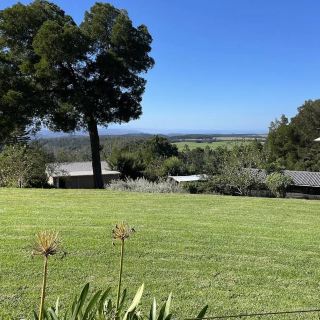 Packwood Wine & Country Estate – 가든 루트의 부티크 와인과 농장 매력