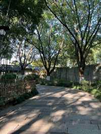 Dongzha: The Purest Glimpse of Ancient Jiangnan