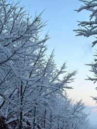❄️ 이천 겨울에 가야 하는 이유 ✨