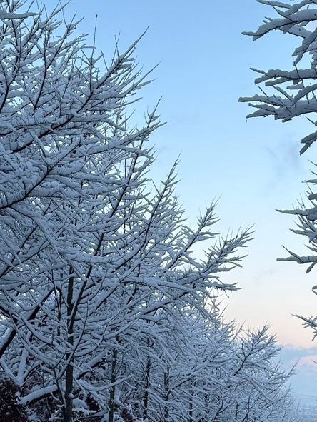 ❄️ 이천 겨울에 가야 하는 이유 ✨