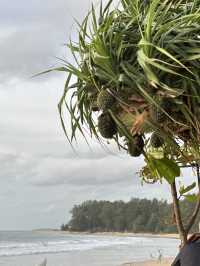 หาดในยาง “วิวเครื่องบิน + เสียงคลื่นชื่นใจ