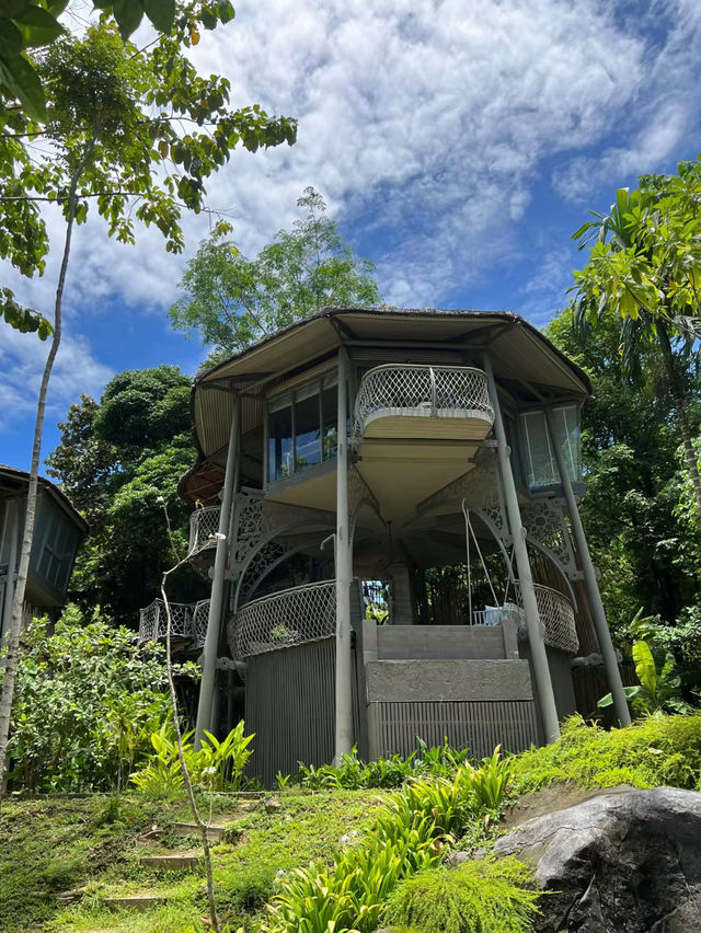 Tree house 🏠 