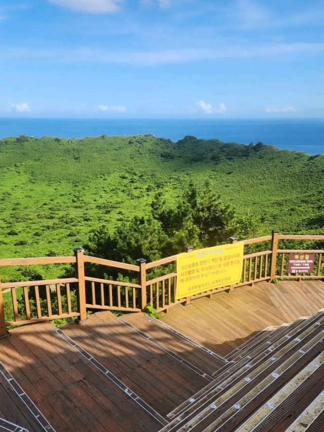 Sun-Kissed Adventures on Jeju Island! ☀️✨