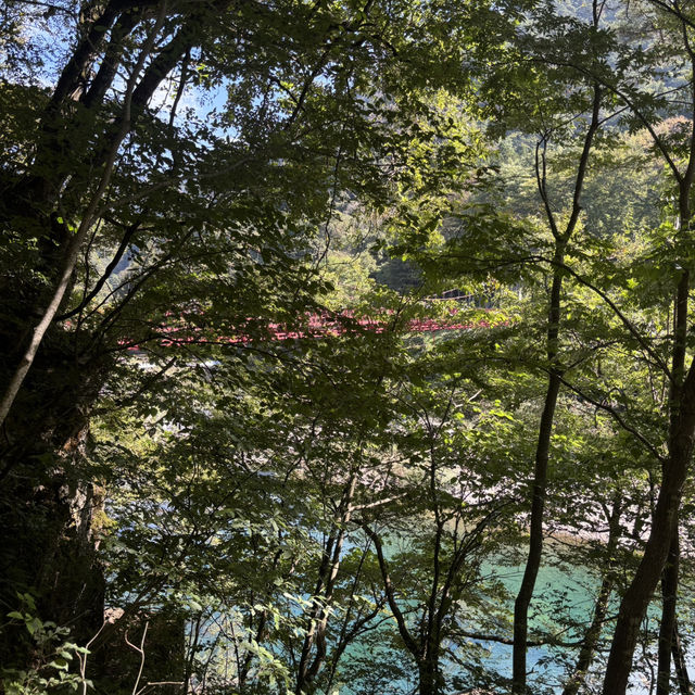 水が綺麗過ぎて癒されました❤️ 水が綺麗過ぎて癒されました❤️