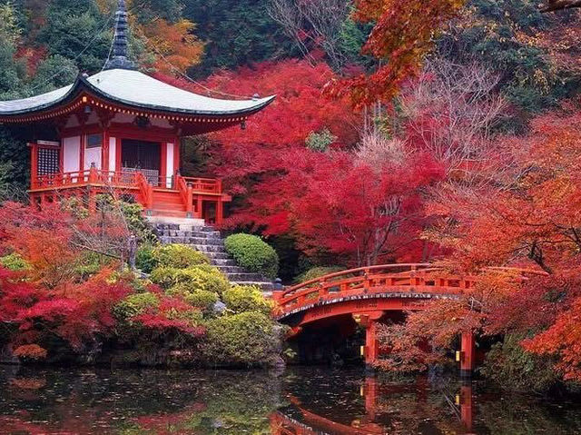 🍁 Daigoji Temple – Kyoto, Japan ⛩️🌿