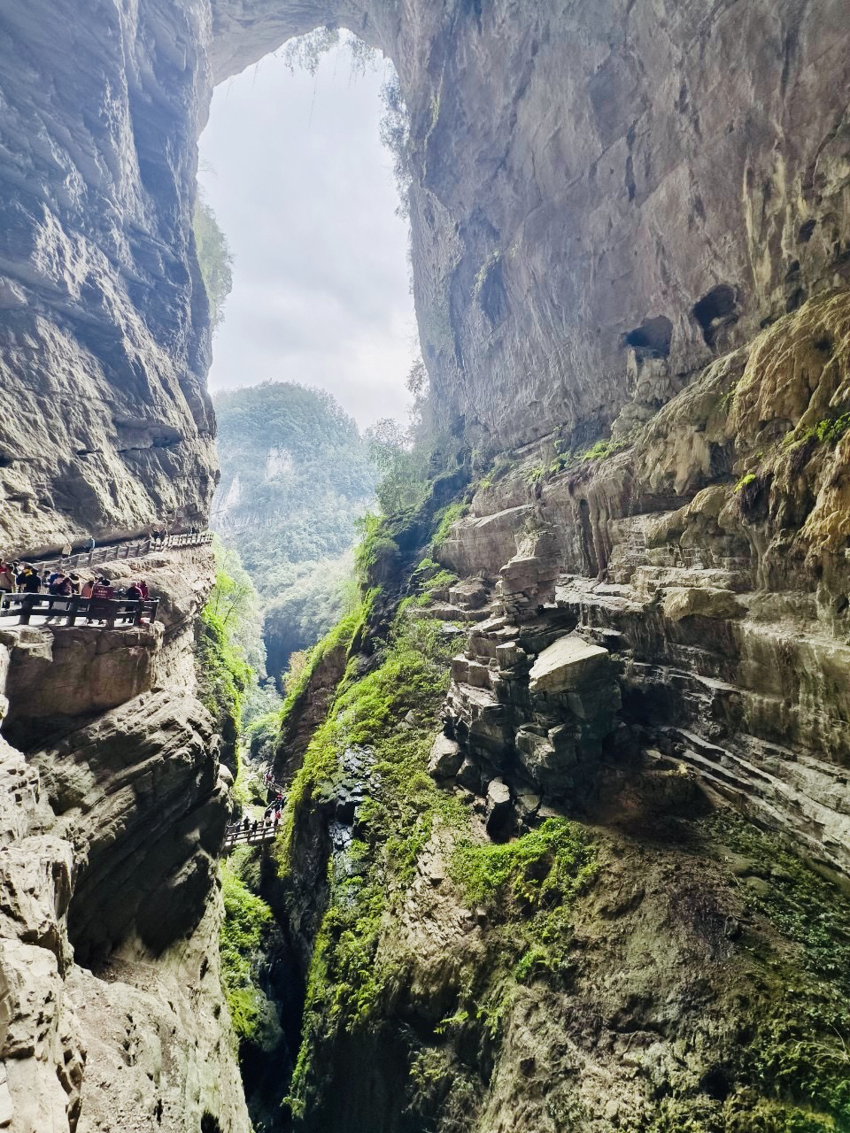 #September2025
#Longshuixia Fissure

Longshuixia Fissure, located in Wulong, Chongqing, resembles a gaping hole in the earth. Millions of years ago, the mountain-building movement left its most magnificent mark. 👣

A winding two-kilometer trail descends, with sheer cliffs on either side as sharp as a knife. Just a sliver of sky overhead, a gurgling stream at your feet. A waterfall cascades down the rock face, a breathtaking spectacle. 👍

Walking through the canyon, surrounded by towering cliffs and lush greenery, vines draping, and mist swirling, it feels like straying into a world far from the hustle and bustle of the earth's core. With every step, you can feel the force of the earth's crust and the traces of time. ⏰

The Longshuixia Fissure is not only a natural wonder of karst landforms, but also an adventure in dialogue with the Earth. Spectacular, awe-inspiring, and awe-inspiring. 🌏