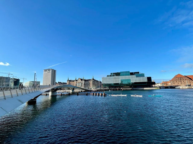 Charming Streets and Coastal Breeze in Copenhagen