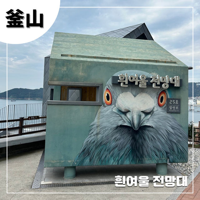 【🇰🇷：影島】山の上から見られる絶景🌊
