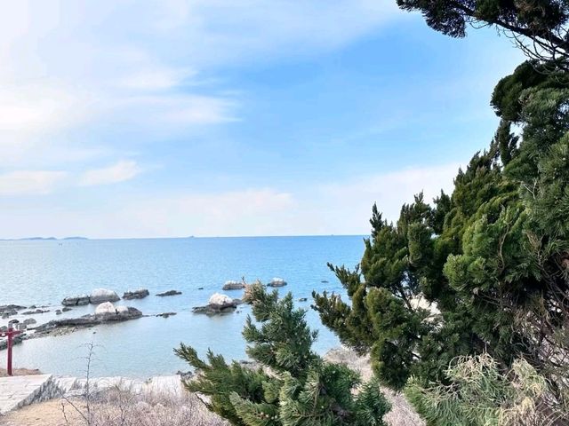 Seaside Perfection✨
