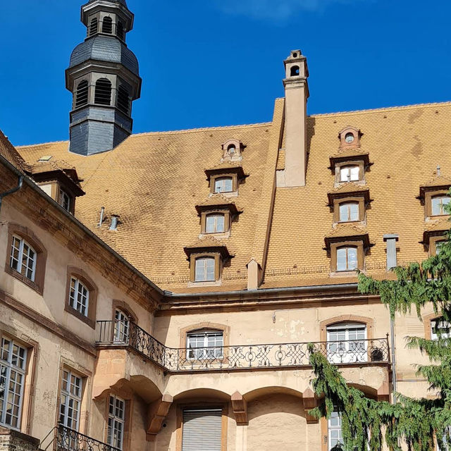 Cave Historique des Hospices de Strasbourg – A Timeless Cellar Beneath the City