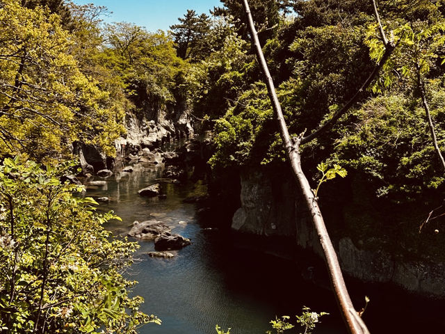 The Stunning Dragon's Pool and Suspension Bridge