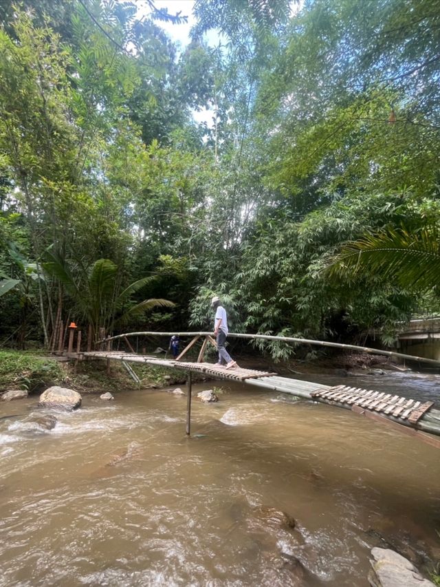 Me & Nature @Mika Cafe Garden House and Farm แพร่ Me & Nature @Mika Cafe Garden House and Farm แพร่