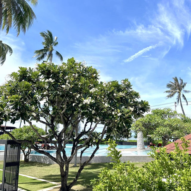 Wyndham Hua Hin Pranburi วาร์ปไปพักผ่อนแบบคนคูล! 
