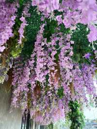 Coffee Time at The Coffee Lounge and Forest Café