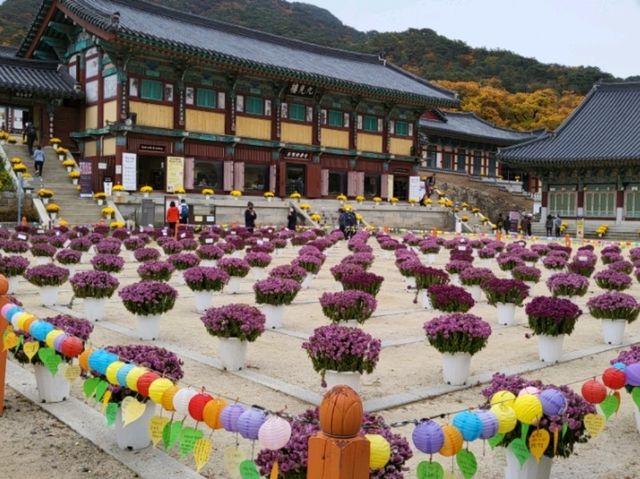 고즈넉한 사찰에서 단풍도 보고 국보도 보는 가을 여행 🧡
