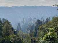 Zhangjiajie หุบเขาอวตารของจริง! วิวสุดล้ำ