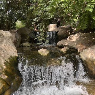 Японский сад Дюссельдорфа - Городской оазис