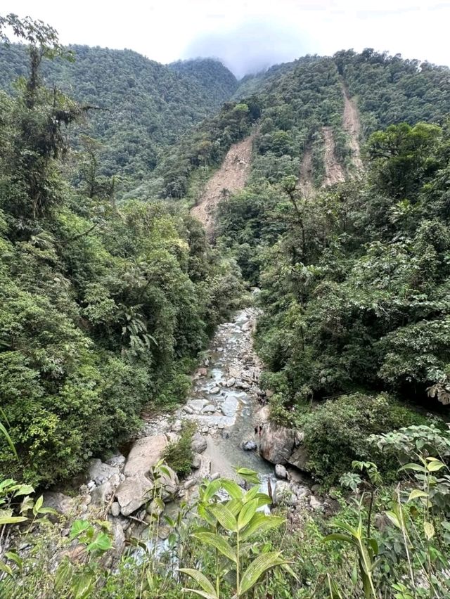 A Hidden Jungle Gem at the End of an Adventurous Trail