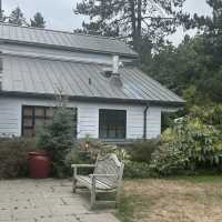 Washington Park Arboretum