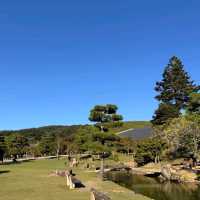 5 จุดต้องแวะ เมือง nara