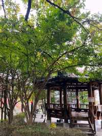 🍁걷고 또 걷고, 둘레길 걷기