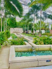 키치조지에서 우연히 찾은 도심 속 식물원 🌿